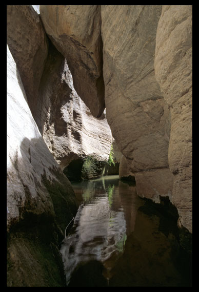 hoenerloh-wilms.de_Parunuweap